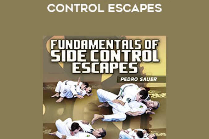 Pedro Sauer - Fundamentals of Side Control Escapes onnline courses