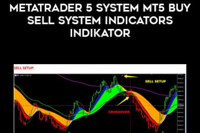 BIG BULL SYSTEM | Fx Trading MetaTrader 5 System MT5 Buy Sell System Indicators INDIKATOR onnline courses