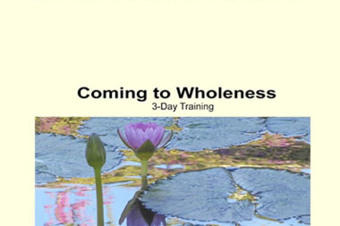 Connirae Andreas - 3 Days Wholeness Process HQ onnline courses