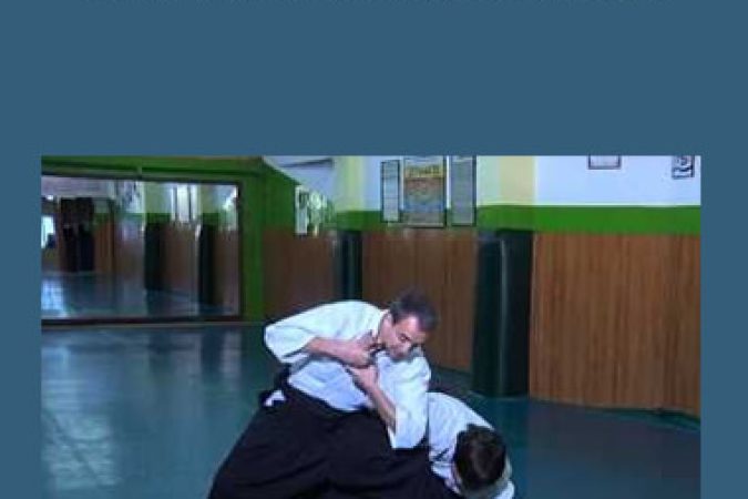 Jan Janssens - Yoseikan Aikido Seminar onnline courses