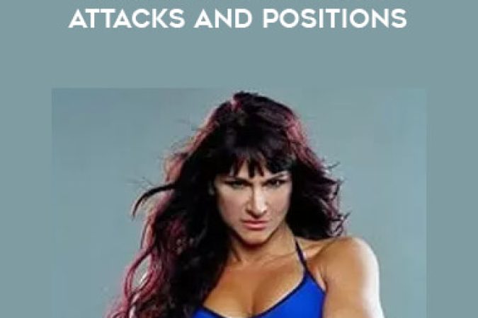 Debi Purcell - Basics Of MMA Vol.2: Attacks and Positions onnline courses