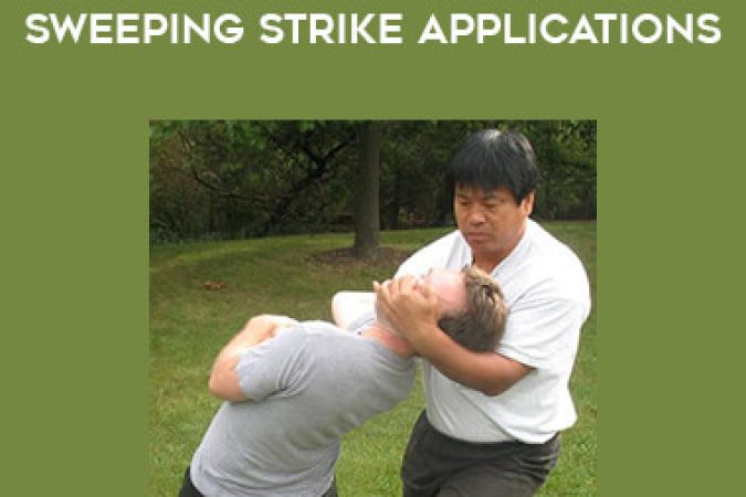 Yin Style Bagua - He Jinbao - Lion System - Sweeping Strike Applications onnline courses