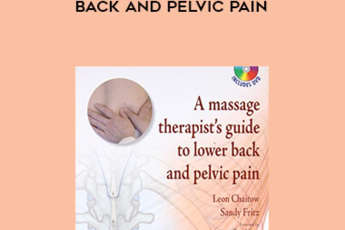 A massage therapist's guide to lower back and pelvic pain onnline courses