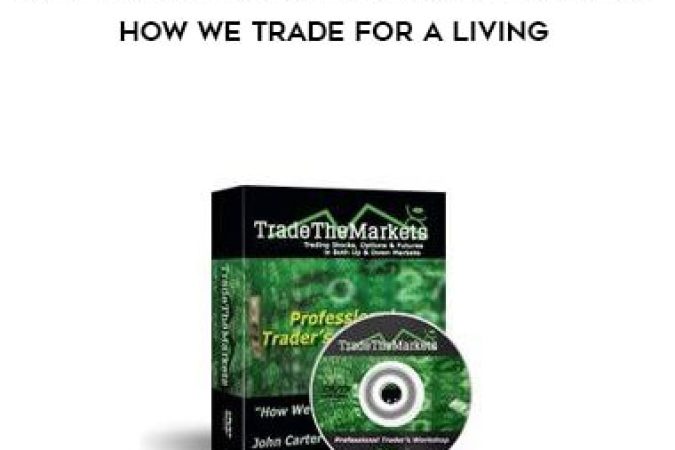 Tradethemarket - 4-Day Professional Trader's Workshop - How We Trade for a Living onnline courses