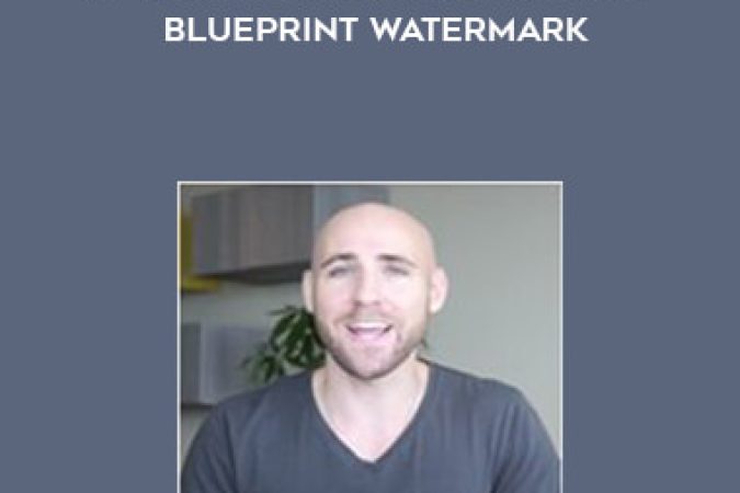 Stefan James - Affiliate Marketing Mastery Blueprint watermark onnline courses