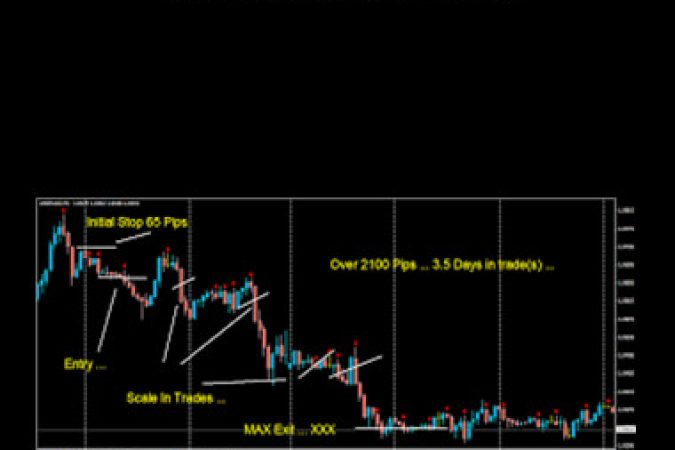 Jim Pruitt - Max Trading System onnline courses