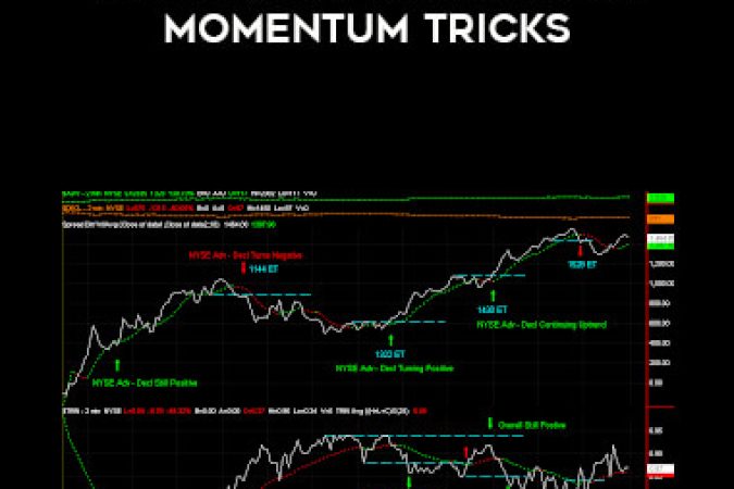 Linda Raschke : Trading Momentum Tricks onnline courses