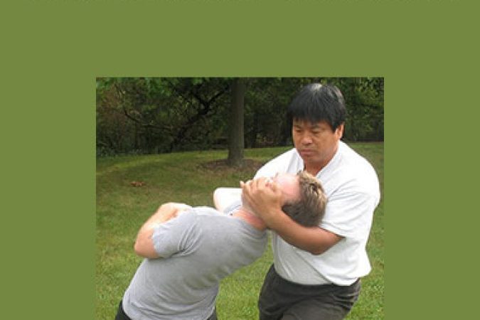 Yin Style Bagua - Lion System onnline courses