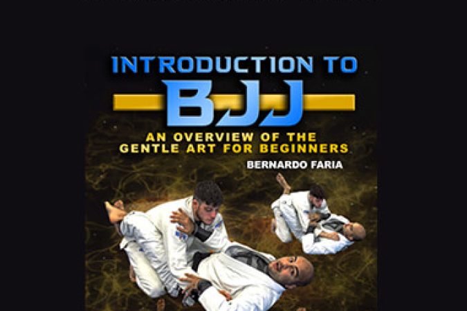 Bernardo Faria - Introduction To BJJ onnline courses