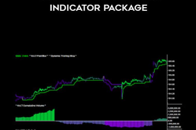 Fibozachi - The Vol. T Volume-Tick Indicator Package onnline courses