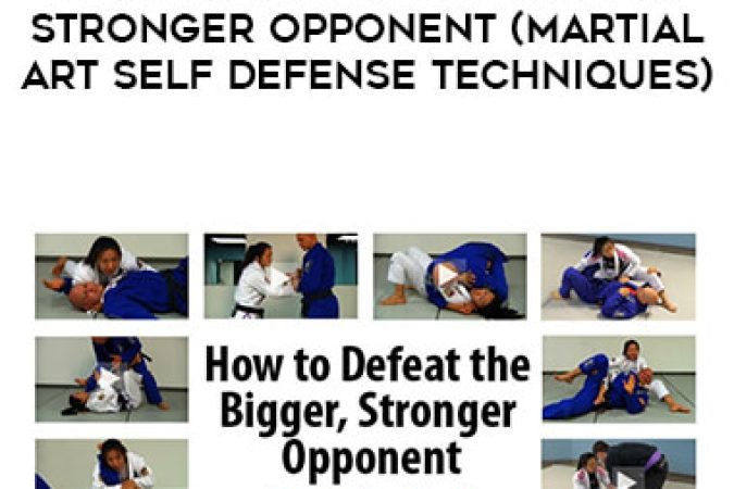 Stephan Kesting - How to Defeat the Bigger Stronger Opponent (Martial Art Self Defense Techniques) onnline courses