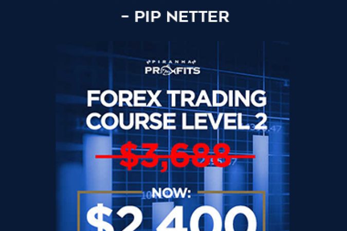 Adam Khoo – Forex Trading Course Level 2 – Pip Netter onnline courses