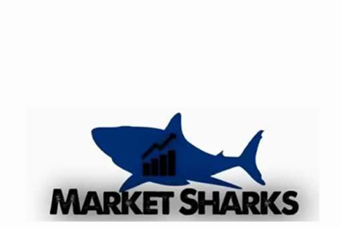 Avdo Hadziavdic – MarketSharks Forex Training onnline courses