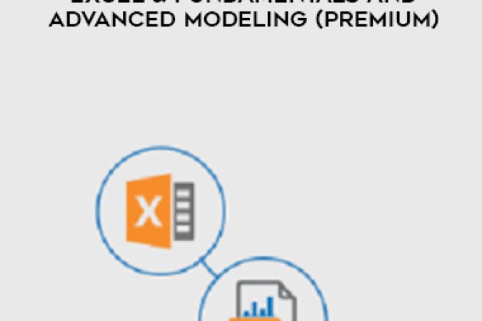 Breaking Into Wall Street – Excel & Fundamentals and Advanced Modeling (Premium) onnline courses