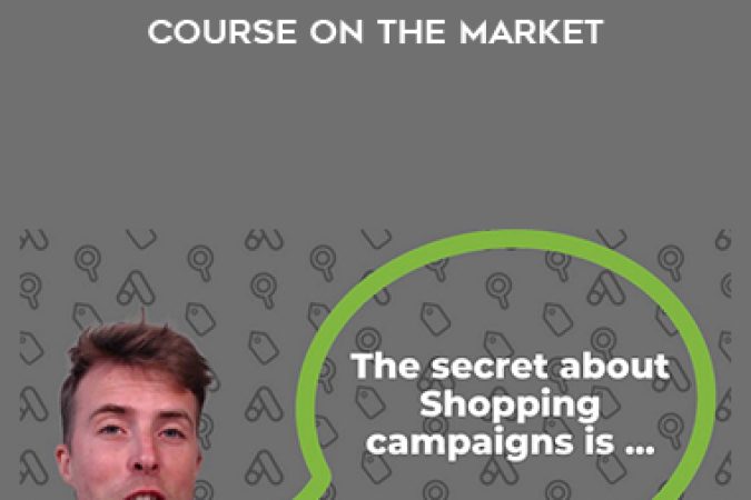 Dennis Moons – Google Shopping Success Course On The Market onnline courses