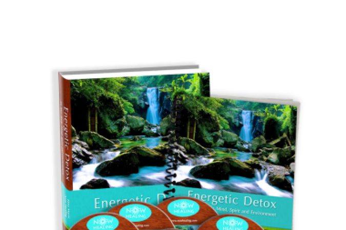 Ebna Mayer - Energetic Detox onnline courses