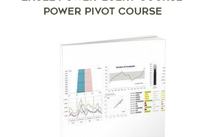 Excel Dashboard Course + Excel Power Query Course + Power Pivot Course onnline courses