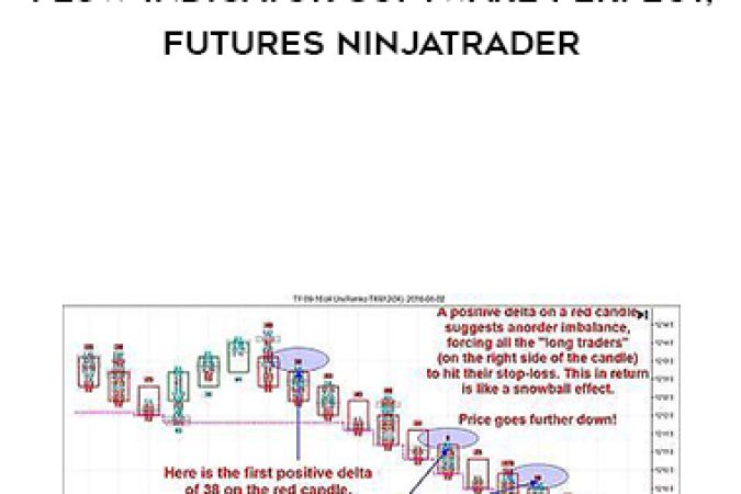 Ebay - Flow Indicator Software Perfect for Futures Ninjatrader onnline courses