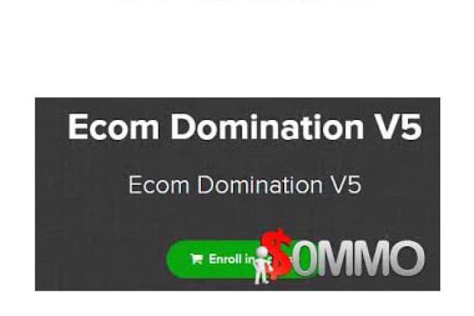 James Beattie - Ecom Domination V5 onnline courses