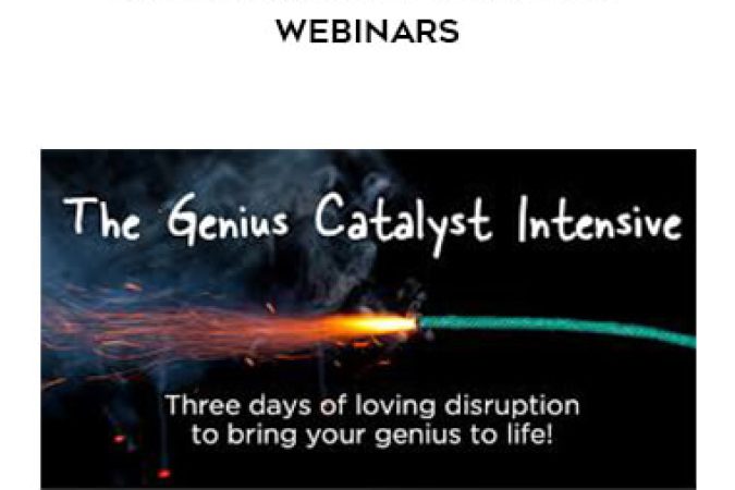 Michael Neill - Genius Catalyst Intensive Webinars onnline courses