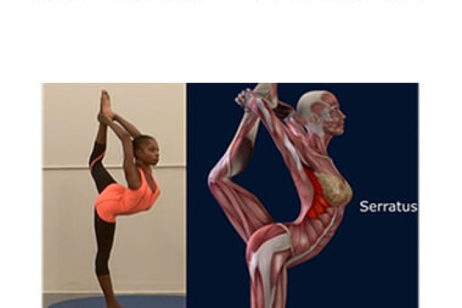 Paul Zaichik - Easy Flexibility - Dancers Pose onnline courses