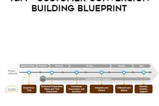 T&M - Customer Conversion Building Blueprint onnline courses