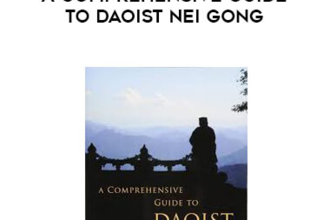 Damo Mitchell - A Comprehensive Guide to Daoist Nei Gong onnline courses