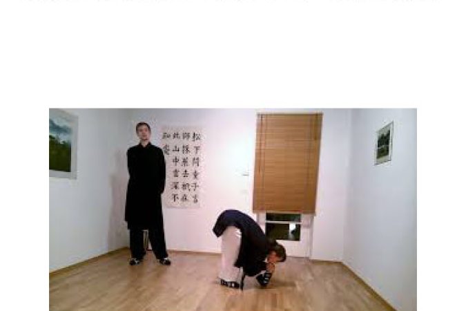 Wudang Academy - How to chin to toe stretch onnline courses