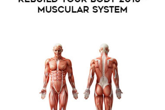 Rebuild Your Body 2016 - Muscular System onnline courses