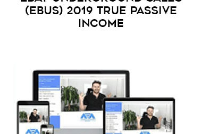 Roger & Barry - eBay Underground Sales (eBus) 2019 True Passive Income onnline courses