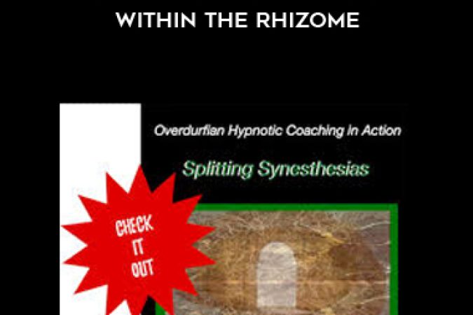 John Overdurf - Splitting Synesthesias within the Rhizome onnline courses