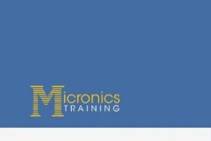 Micronics Zero-To-Hero Security Bootcamp onnline courses