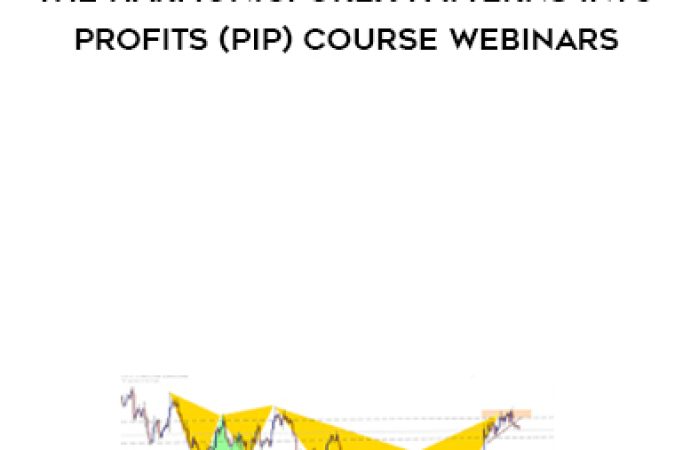 Scott Carney – The HarmonicForex Patterns into Profits (PIP) Course Webinars onnline courses