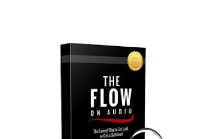 The Modern Man - The Flow Audiobook onnline courses