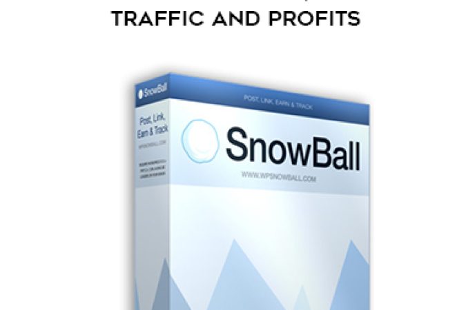 WP Snowball 2.0 Your Content